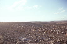 Las Dhure Refugee Camp, Somalia