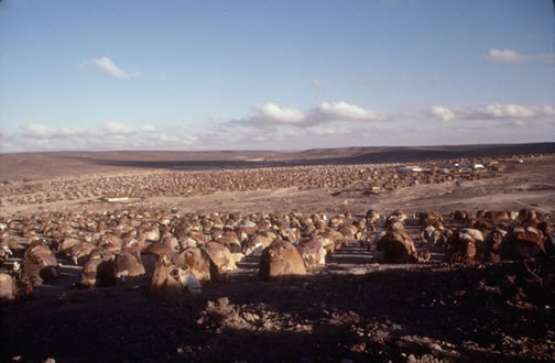 Las Dhure Refugee Camp, Somalia