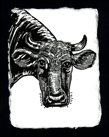 Small Soulful Cows