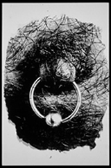 Click on image to enlarge